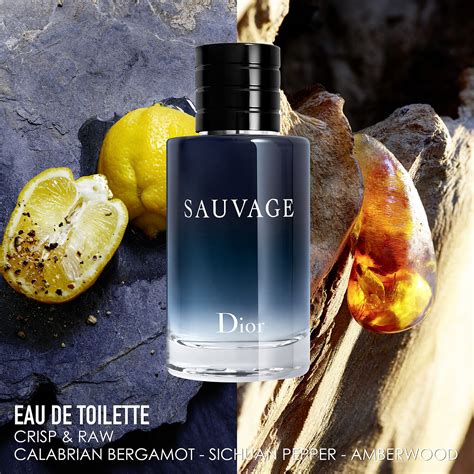 etos dior sauvage|sauvage eau de toilette.